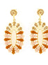 Gold-Tone Metal Brown Champagne Crystal Earrings