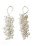 Dangling mini multi pearl earrings