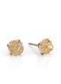 Gold-Tone Metal Filigree Stud Earrings