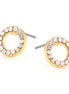 Gold-Tone Metal Circle Crystal Stud Earrings