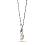 TWO TONE CHAMPAGNE AND CRYSTAL ROUND PENDANT NECKLACE 62994EH-CHM(FC19)