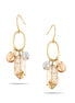 Tazza-Gold-Tone Metal Natural Drop Earrings