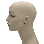 GOLD AND BROWN SQUARE STUD EARRINGS#HNE90740BRW (GD17)